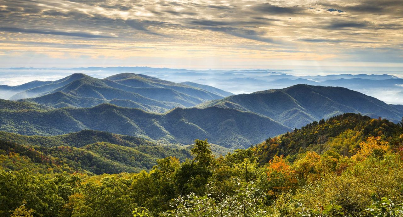 Contact Blue Ridge Festivals Events In GA SC TN NC VA WV MD contact-blue-ridge-festivals-events-in-ga-sc-tn-nc-va-wv-md